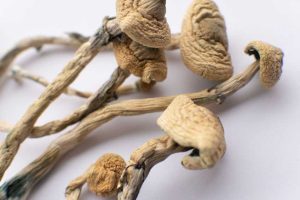 Oregon Psychedelics Sales Dispensary
