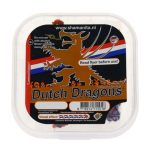 Buy Dutch Dragons Truffles online in the United States